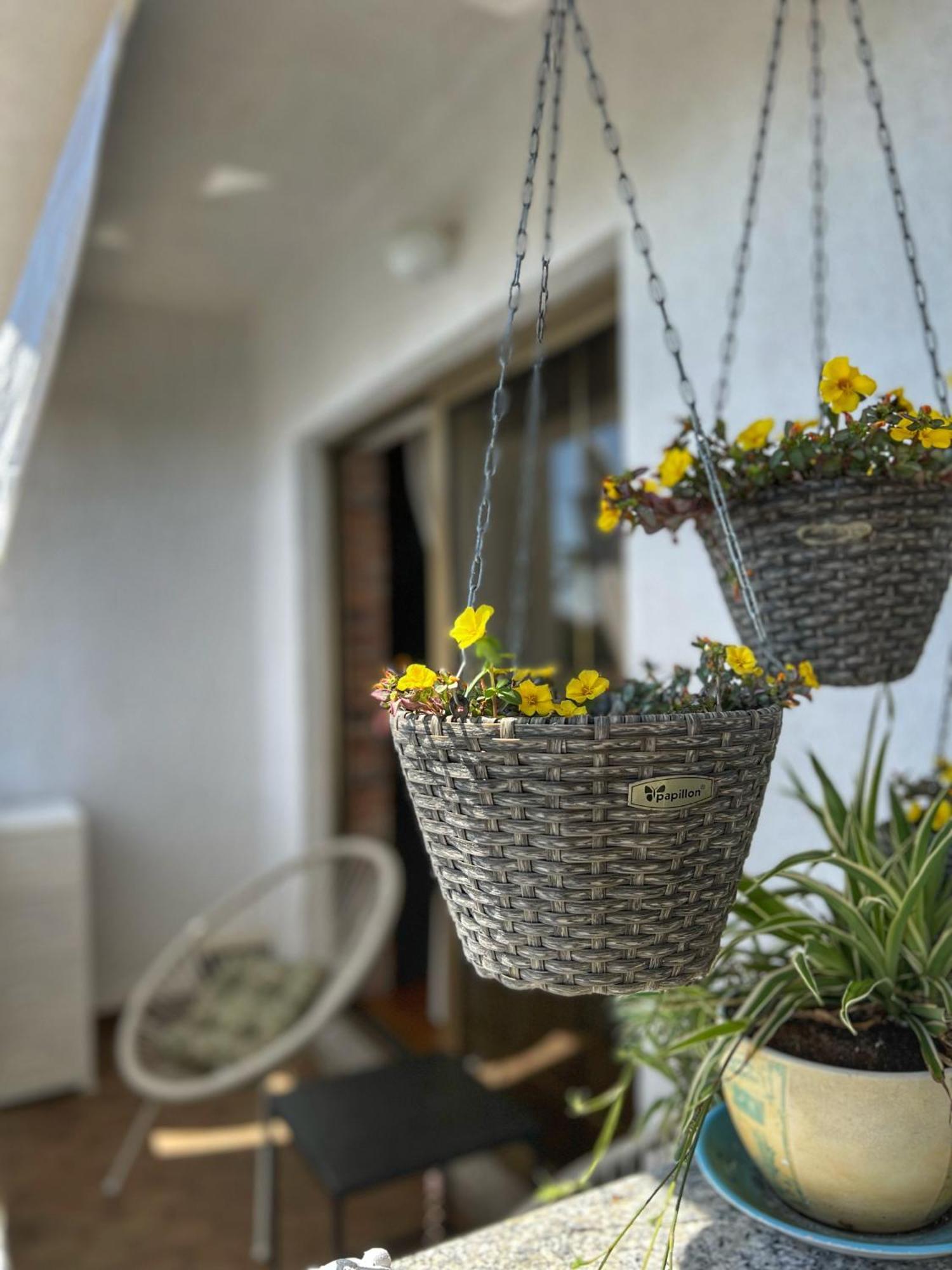 Apartmani Mia Palit Exterior foto